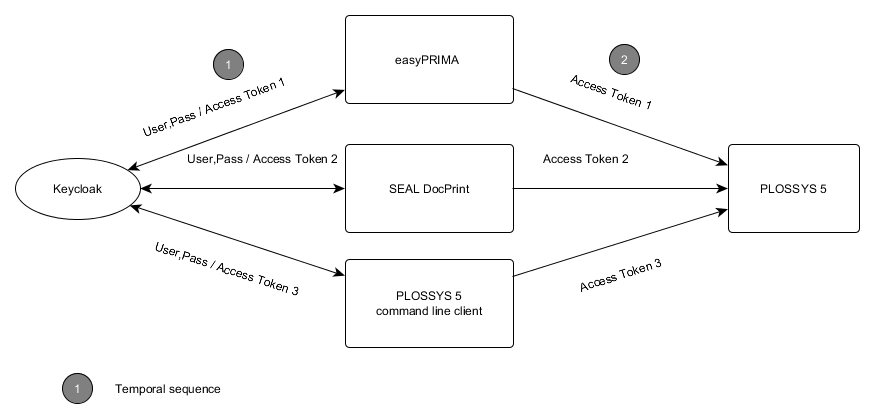 Password Flow Overview